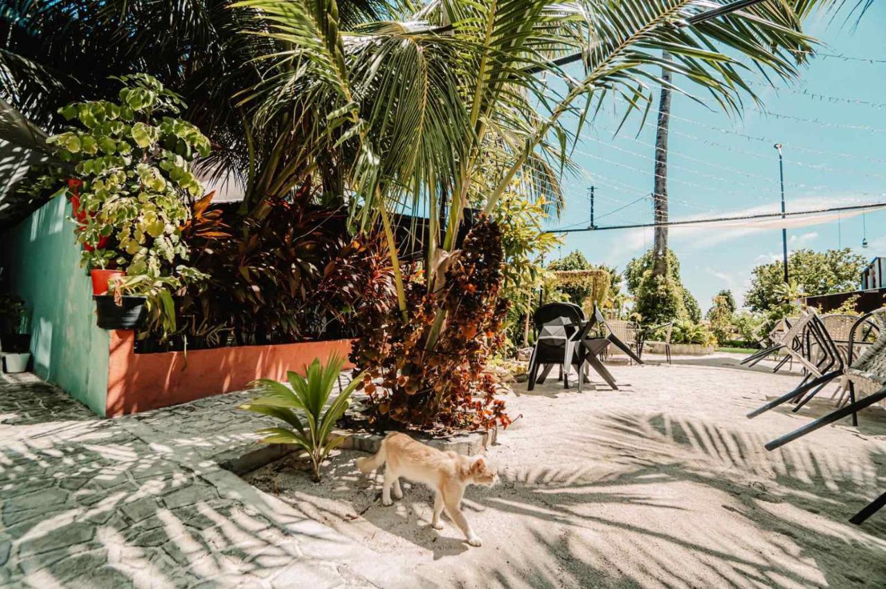 Oceana Boutique Otel Maafushi Dış mekan fotoğraf