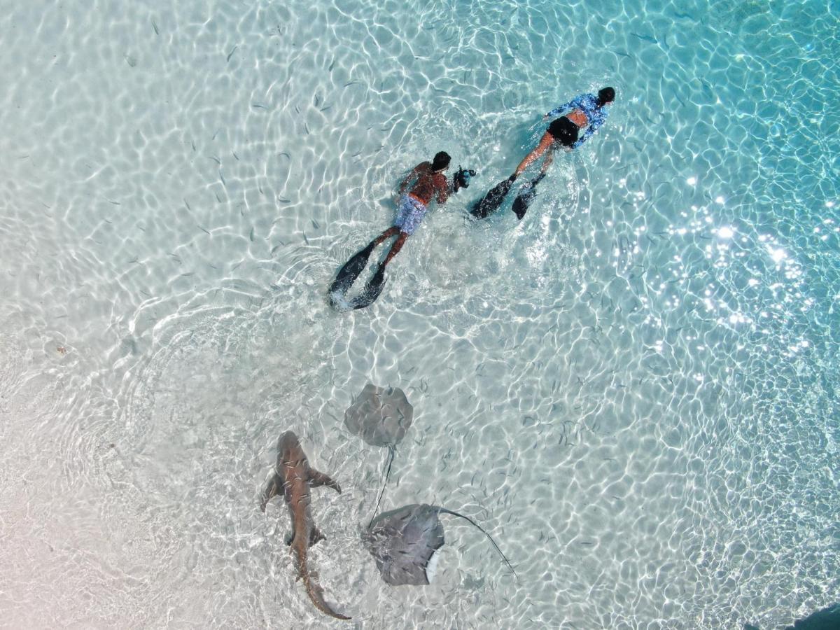 Oceana Boutique Otel Maafushi Dış mekan fotoğraf